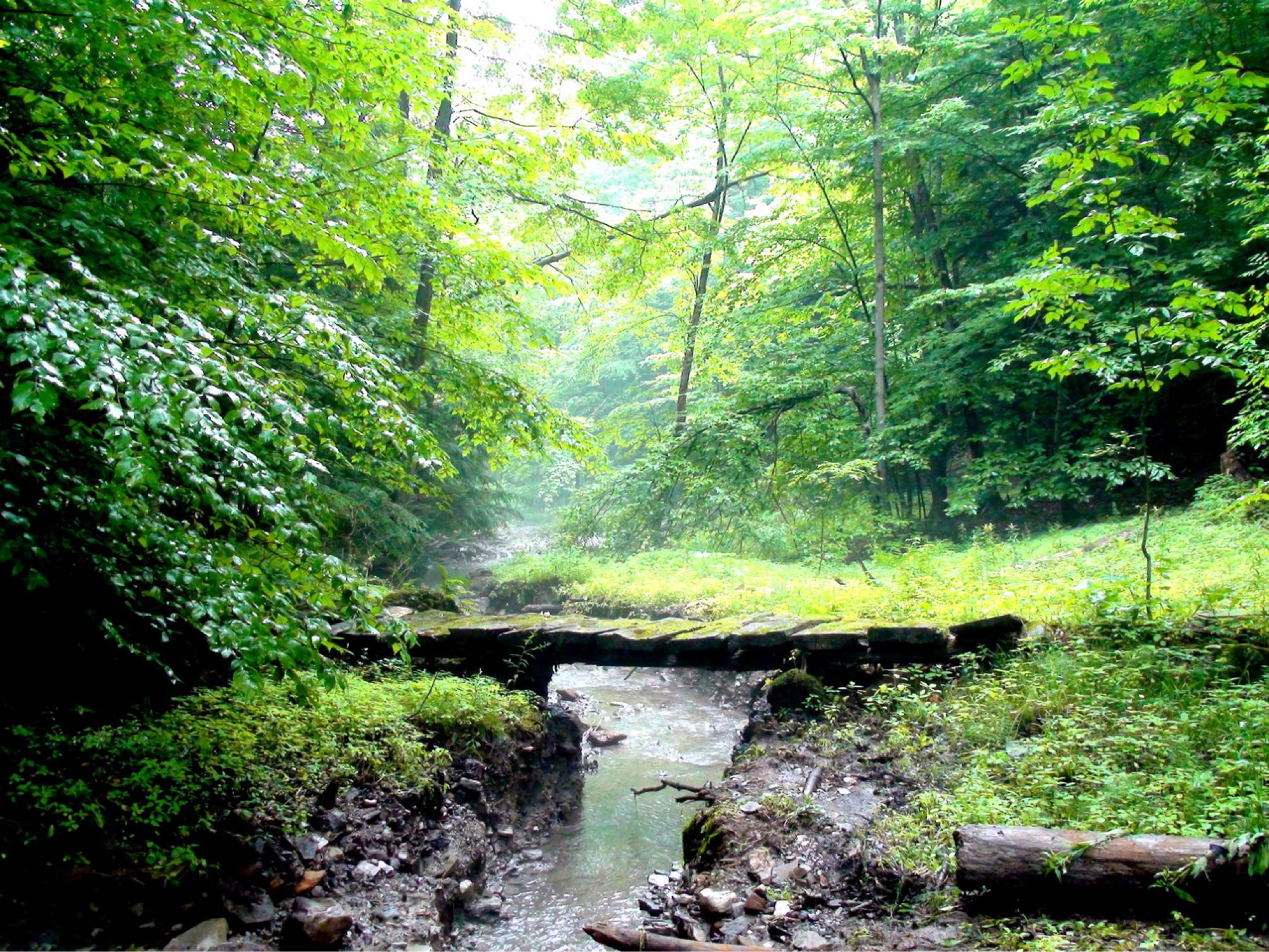 Old Foot Bridge