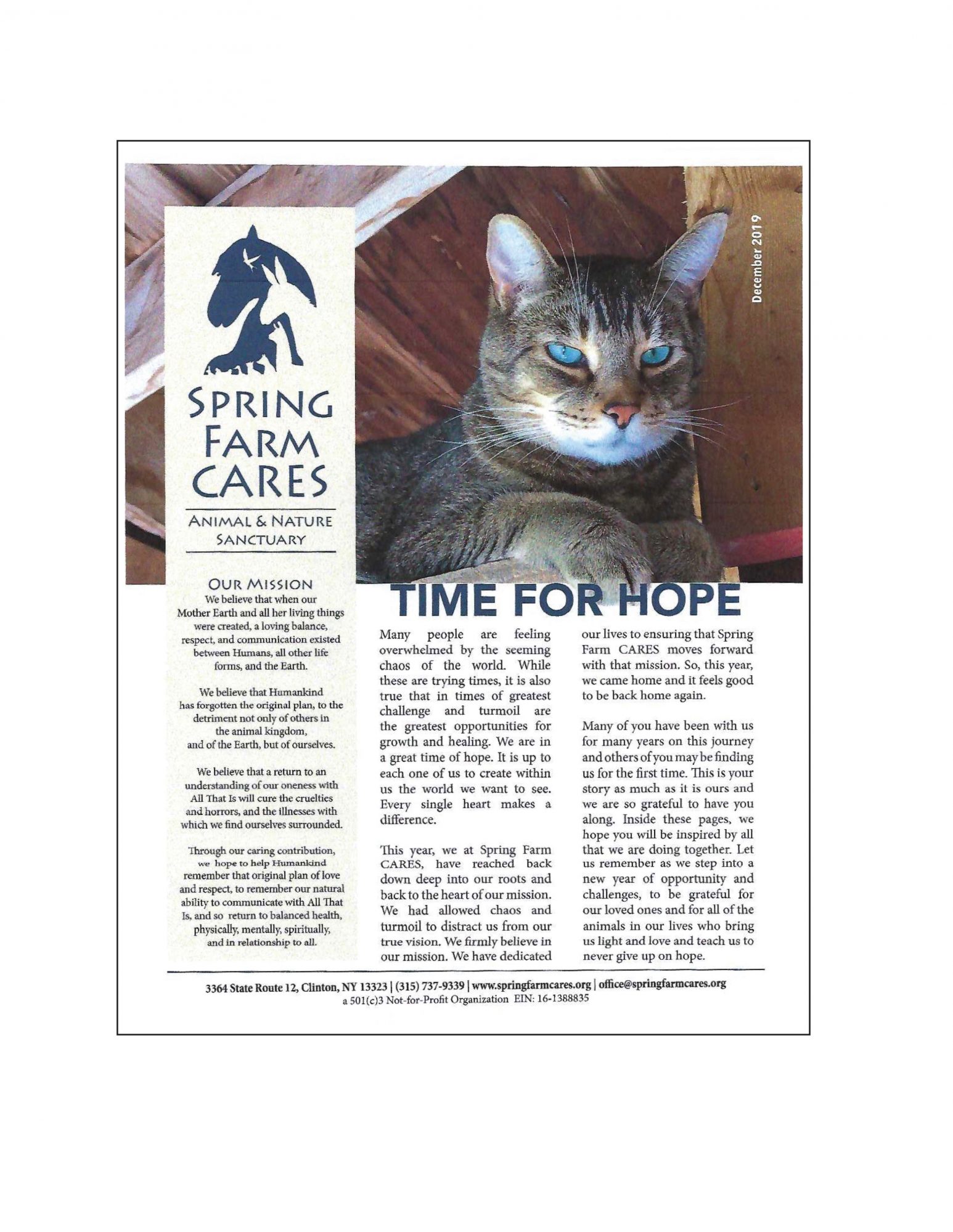 PDF Newletter Front Page
