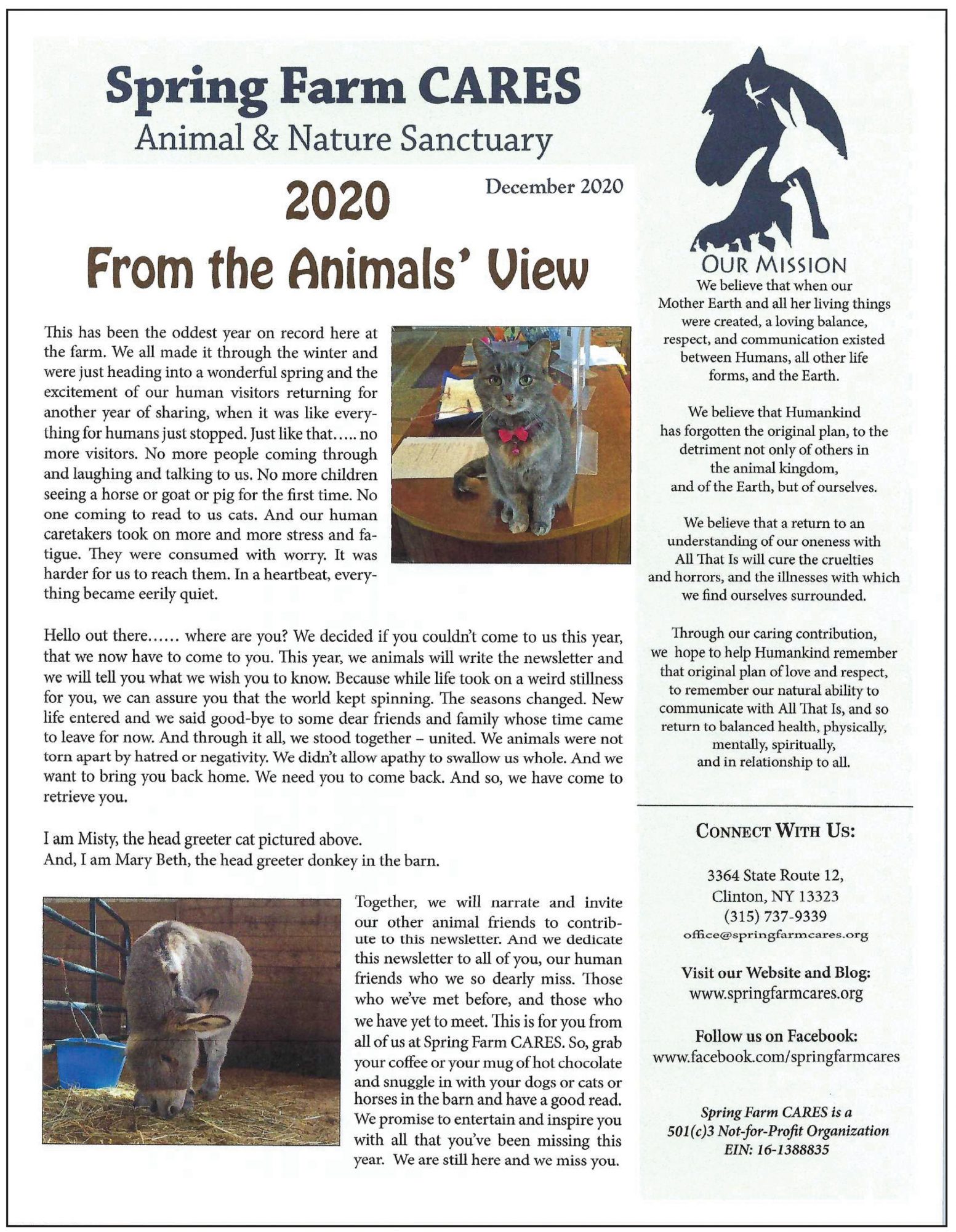 PDF Newletter Front Page